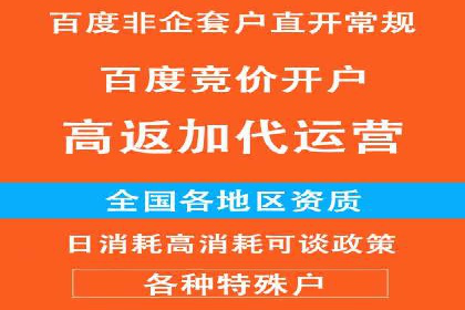 搜索开户返点揭秘：实战案例赚钱技巧